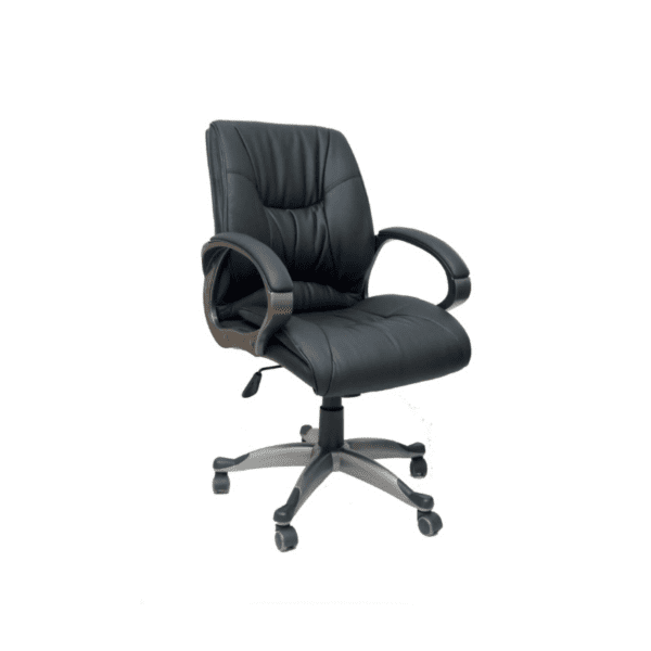Mini Boss Chair , Taycon Med Back Chair